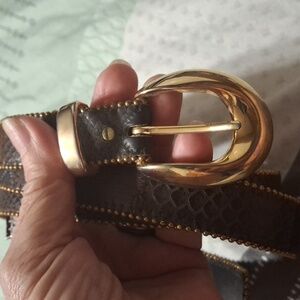 Elegant Gold Buckle Dark Brown Women's Belt